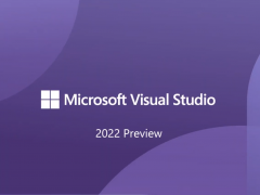 Visual Studio 2022Ԥ棨64 λ