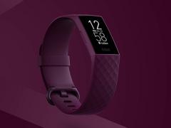 ȸŷЭƲٽ Fitbit ڹ