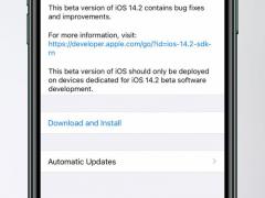 ƻ iOS/iPadOS 14.2 Beta 4