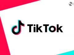 TikTok ܹȸΪ 2021 ܻӭվ